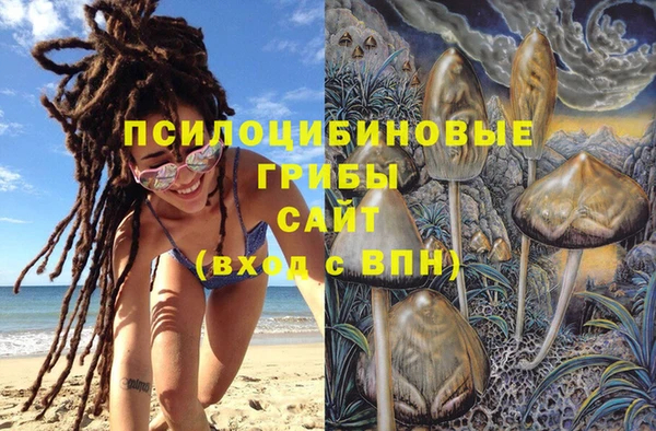 соль ск Алексеевка