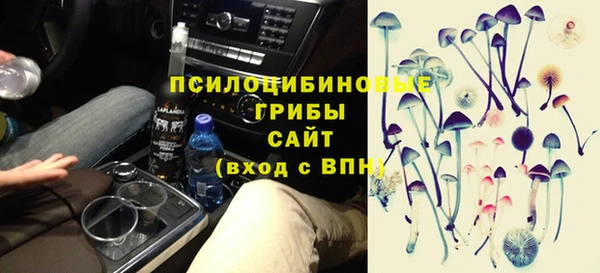 а пвп мука Абаза